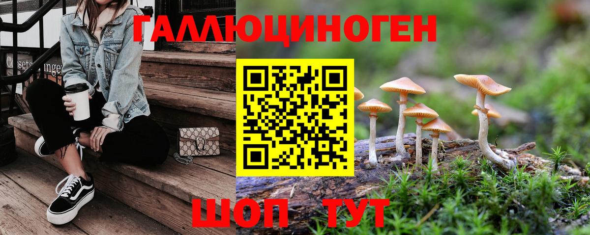 Псилоцибиновые грибы Cubensis Ейск