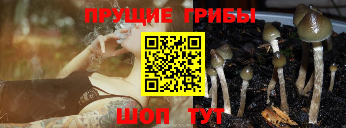 где продают наркотики  Вход с VPN  Ейск  Псилоцибиновые грибы MAGIC MUSHROOMS 